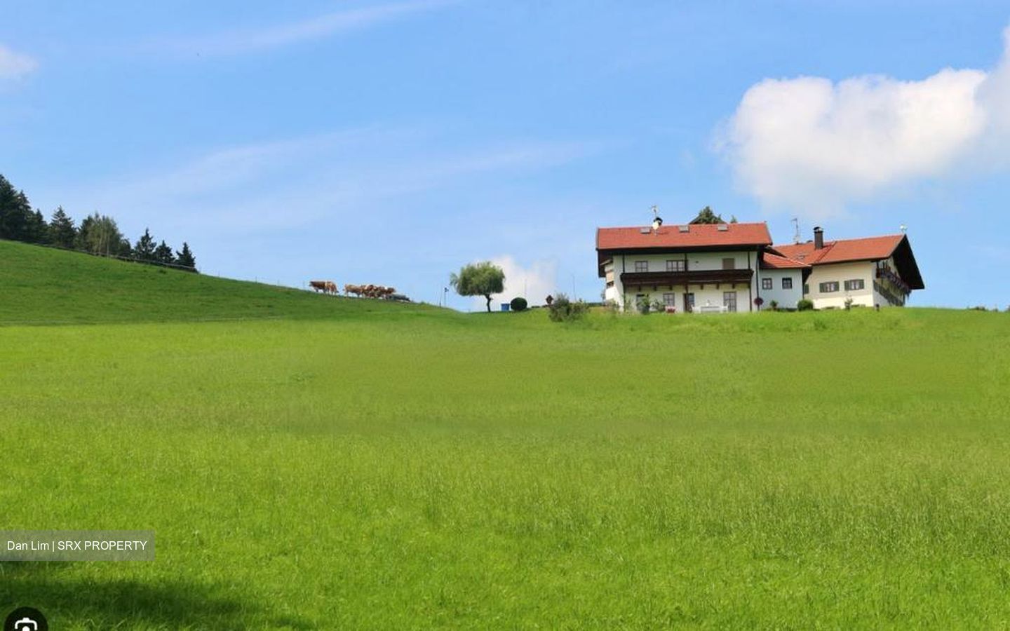 Braddell Heights Estate (D13), Detached #458801811